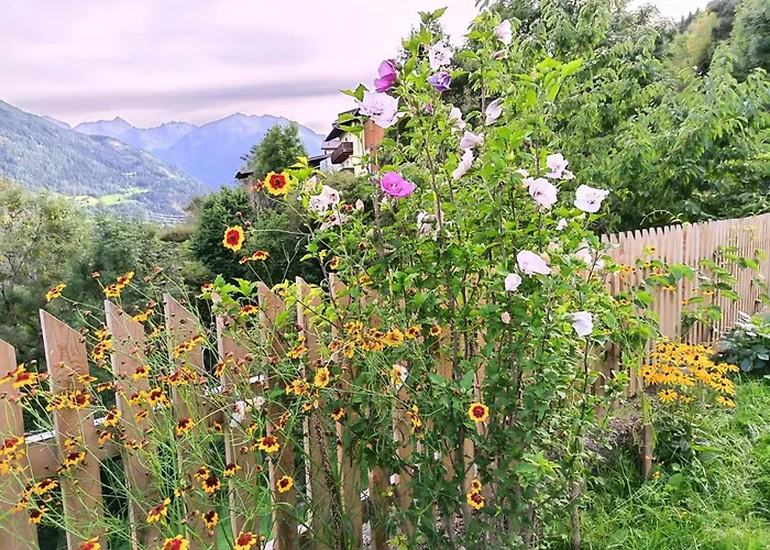 Apartment Alpakahof Timls Arzl im Pitztal